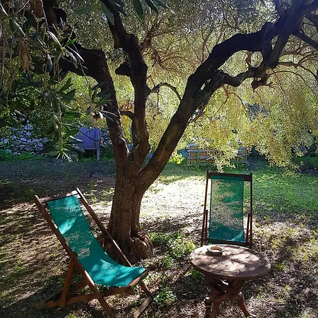 Pensión Bibi A Mare