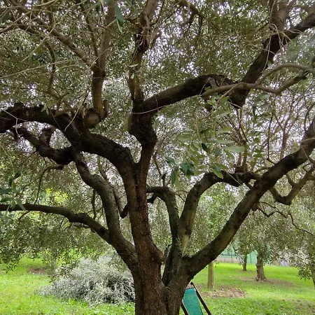 Bibi A Mare 3* Finale Ligure