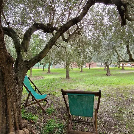 Pensión Bibi A Mare 3*