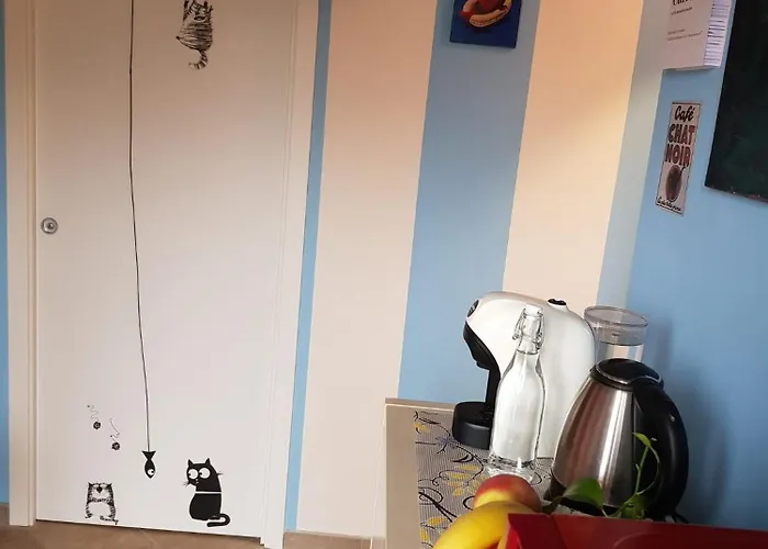 Bibi A Mare 3* פינאלה ליגורה