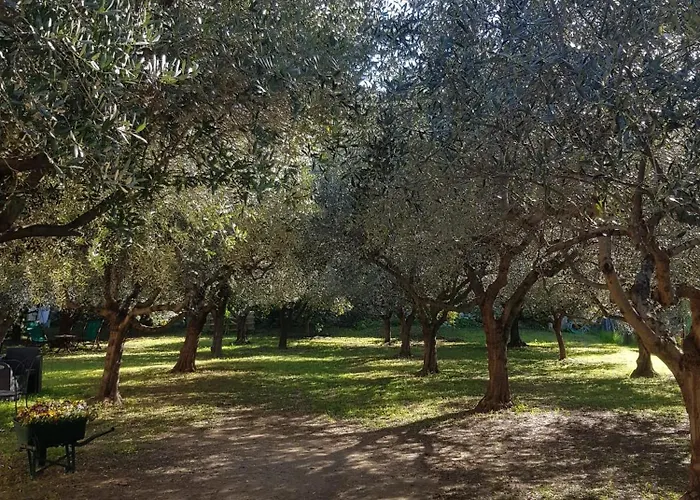 Bibi A Mare 3* פינאלה ליגורה