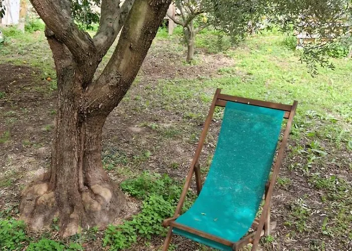 Bibi A Mare פינאלה ליגורה