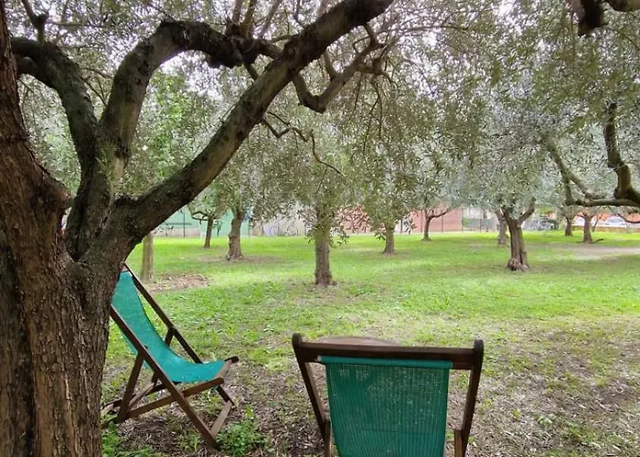 בית הארחה Bibi A Mare 3*