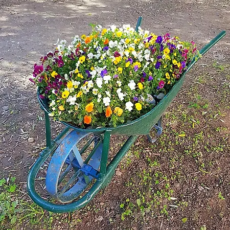 Bibi A Mare フィナーレ・リーグレ