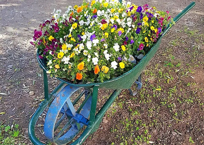 Bibi A Mare Finale Ligure